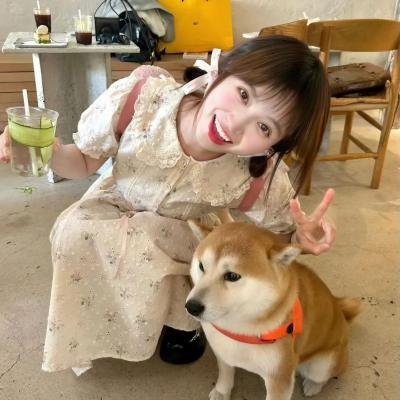 荒野谜尸