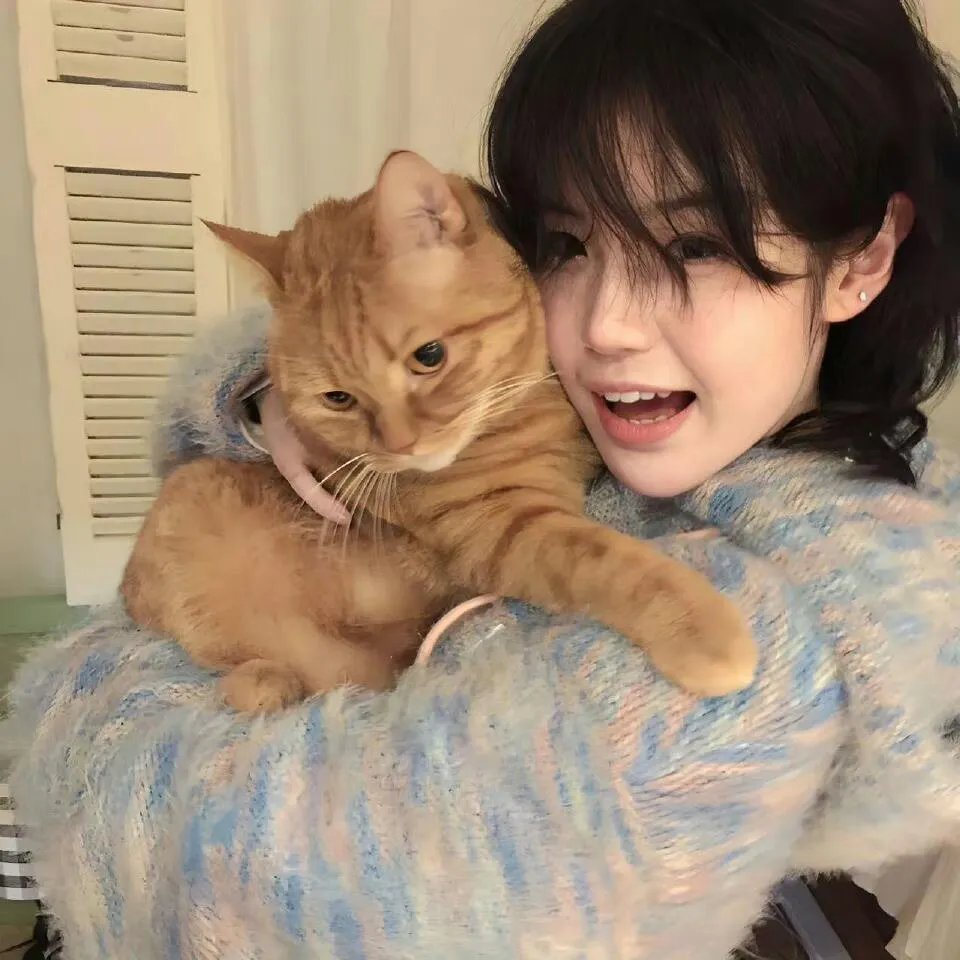 我的小马驹:友谊大魔法第八季 国语版